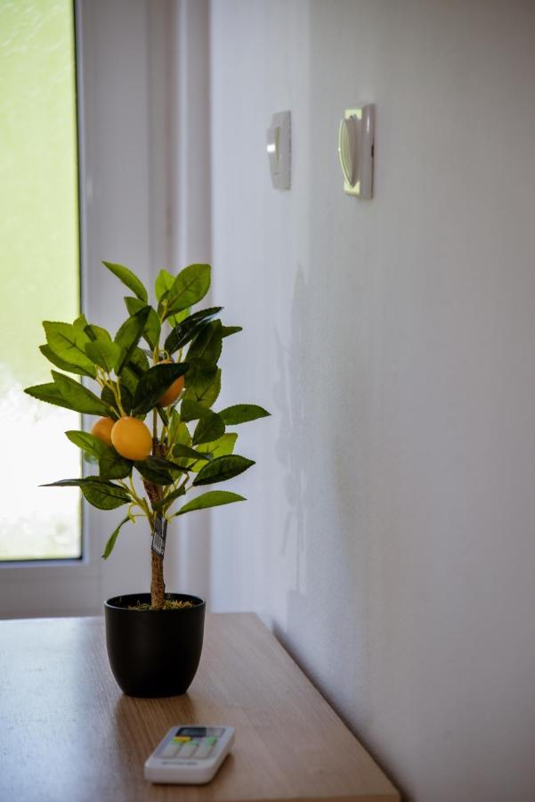 Apartment Nikola 科托尔 外观 照片